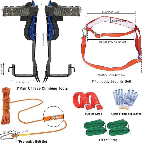 TWSOUL Tree Climbing Spikes Kit, with Adjustable Climbing Belt and Upgrade Rope, 304 Stainless Steel Tree Climbing Gear Tool for Climbing, Picking Fruit, Indoor and Outdoor Sports - Image 3