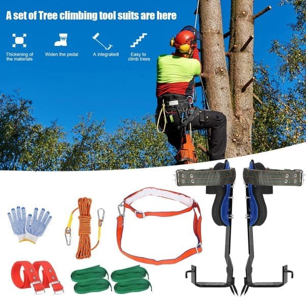 TWSOUL Tree Climbing Spikes Kit, with Adjustable Climbing Belt and Upgrade Rope, 304 Stainless Steel Tree Climbing Gear Tool for Climbing, Picking Fruit, Indoor and Outdoor Sports - Image 6