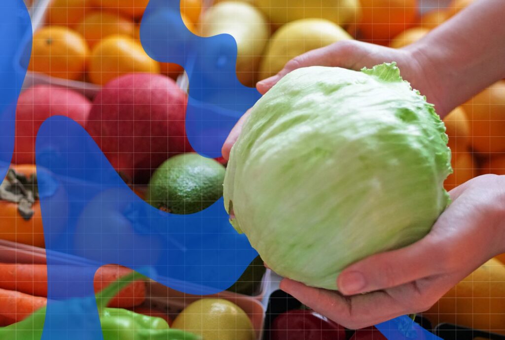 5 Tips to Help Your Lettuce Last Longer