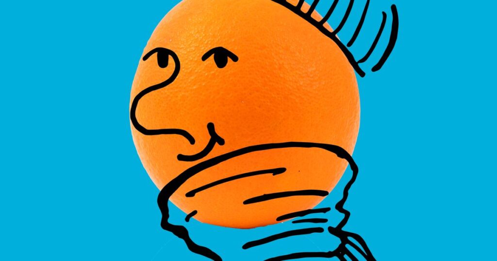 Germ season has started! 10 foods to add to your shopping list