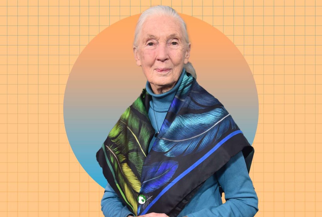 Jane Goodall’s Veggie-Packed Orzo Salad Recipe