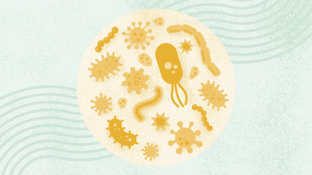 What Is Staph Infection? 