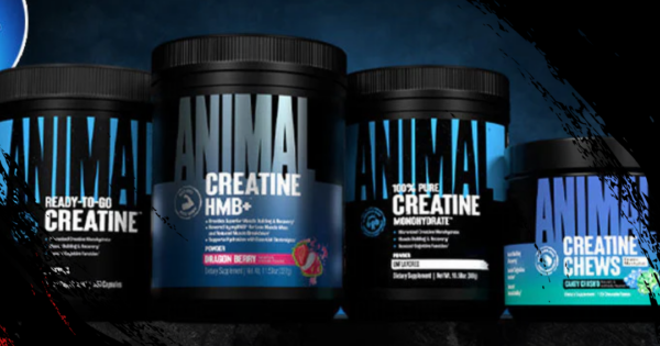 Animal’s Science-Backed Guide to Performance, Health, and Longevity Animal’s Science-Backed Guide to Performance, Health, and Longevity