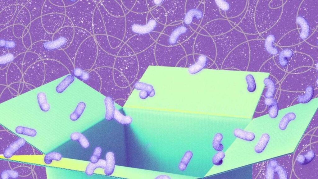 I’m a Tech Editor, and These Are the Best Early Black Friday Tech Deals Right Now I’m a Tech Editor, and These Are the Best Early Black Friday Tech Deals Right Now