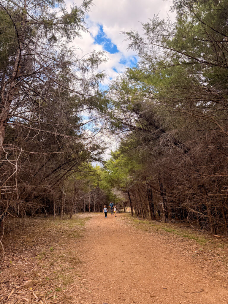 Make Like A Tree And Leave • Kath Eats