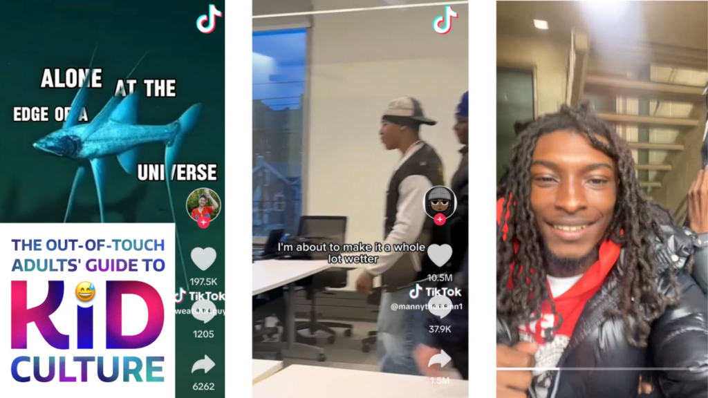 The Out-of-Touch Adults' Guide to Kid Culture: The 'Flip the Camera' Trend