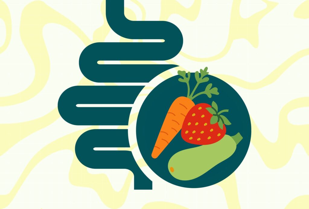 How to Get Enough Fiber If You Have IBS How to Get Enough Fiber If You Have IBS