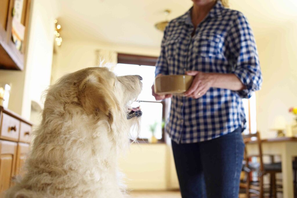 Spontaneous Recovery in Psychology Spontaneous Recovery in Psychology