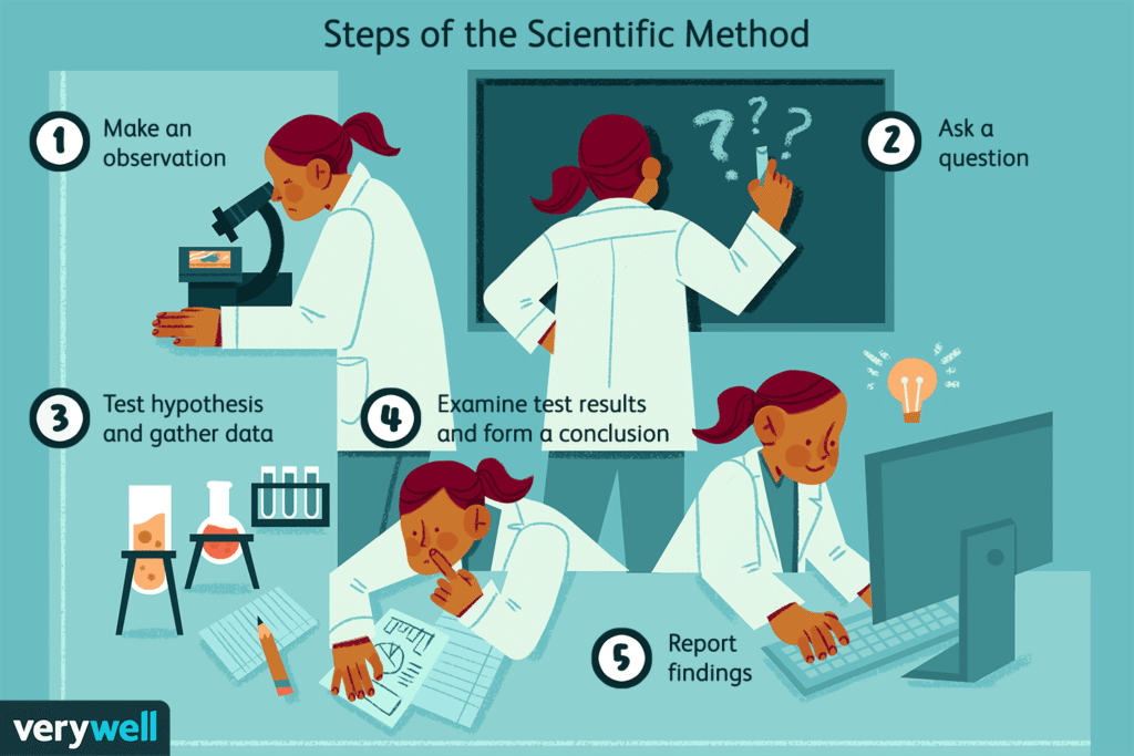 The Scientific Method Steps, Uses, and Key Terms