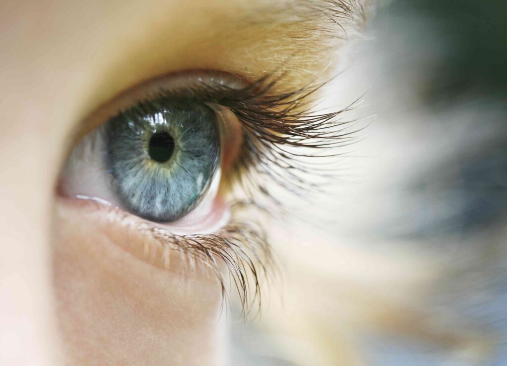 What Are the Different States of Consciousness?