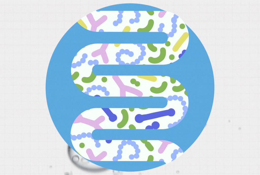 What Happens to Your Gut When You Drink Seltzer