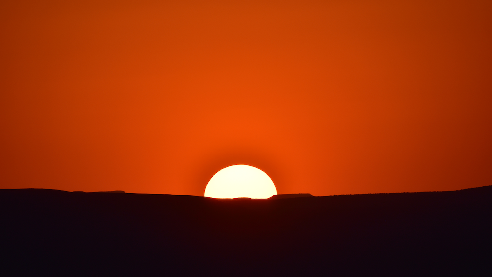 7 Hormones That Depend on Vitamin D (And What Happens When You’re Low) 7 Hormones That Depend on Vitamin D (And What Happens When You’re Low)