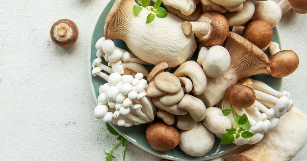 Are mushrooms good for you? Are mushrooms good for you?