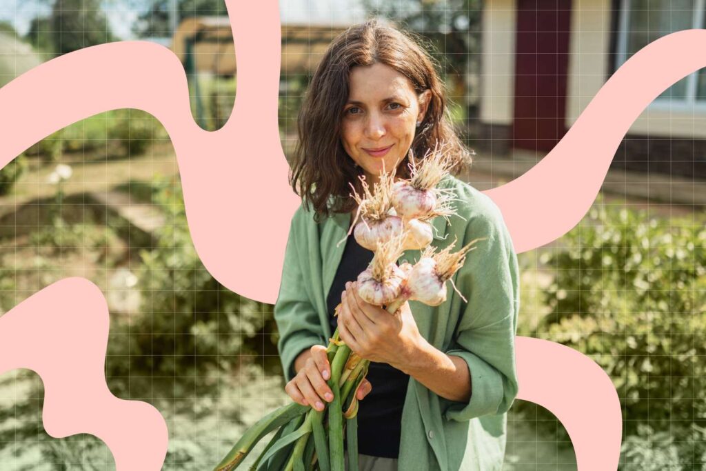 Garlic Benefits and How to Store It