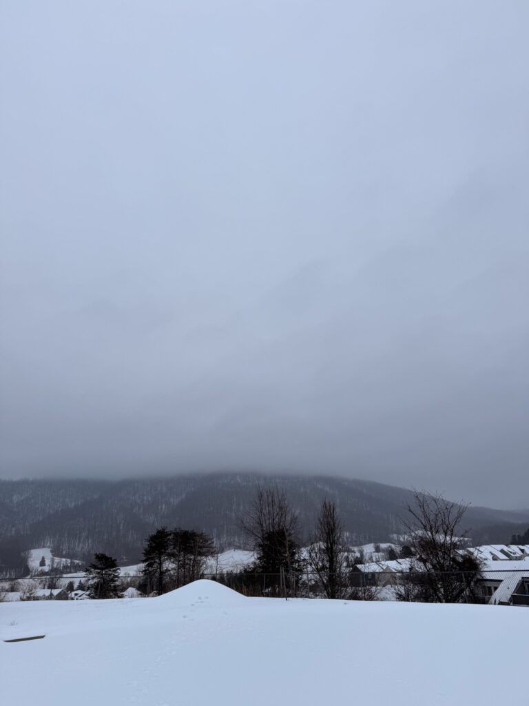 Snow + Sleet • Kath Eats