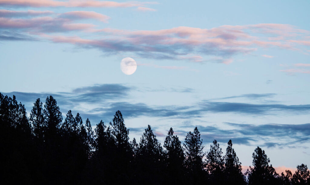 The First Full Moon Of 2026 Is In Cancer—Here’s What To Know