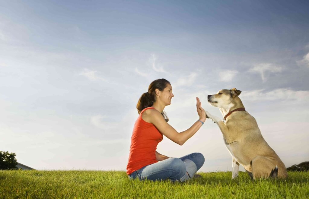 Understanding Stimulus Discrimination in Psychology