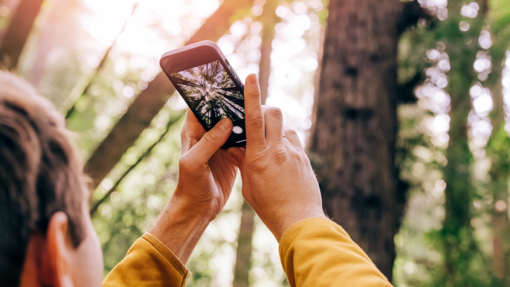 Messenger Apps Are Compressing Your Files, but There’s a Workaround Messenger Apps Are Compressing Your Files, but There’s a Workaround