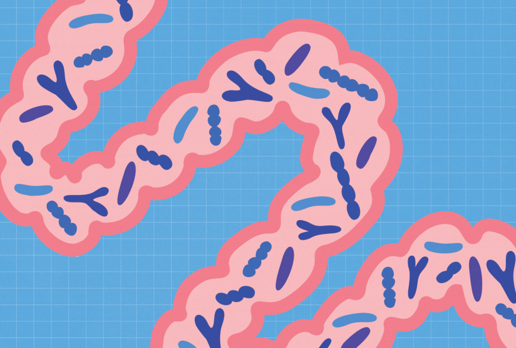 The #1 Habit to Start for Better Gut Health