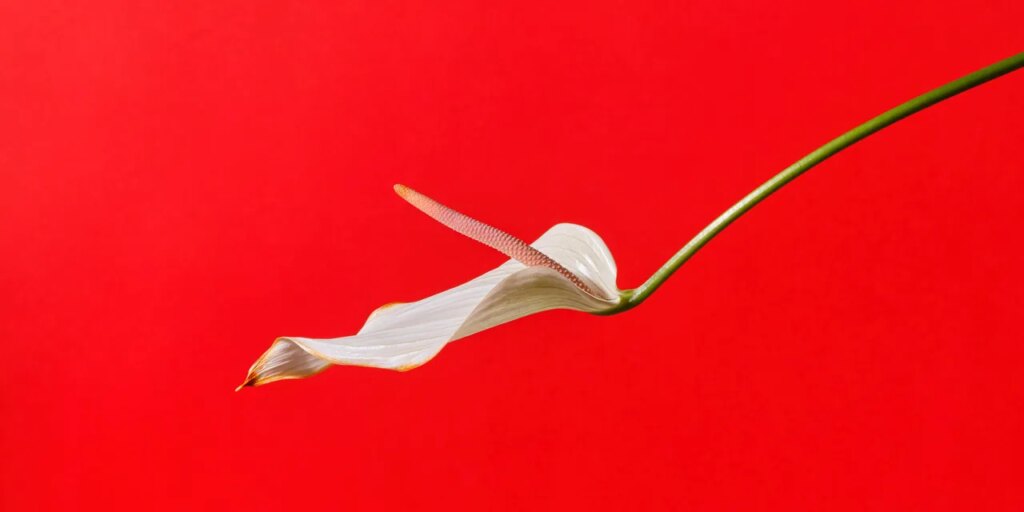 20 Hot Ways to Stimulate Your Clitoris for an Amazing Orgasm