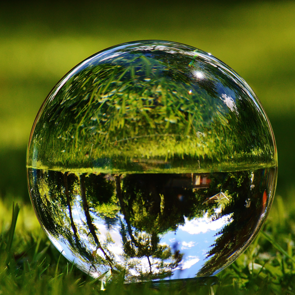 Aesthetic Health Initiative Trends for 2026 Aesthetic Health Initiative Trends for 2026