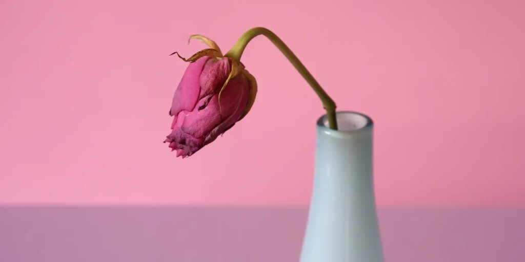 Half of Women Will Develop Pelvic Organ Prolapse. Here Are the Signs Half of Women Will Develop Pelvic Organ Prolapse. Here Are the Signs