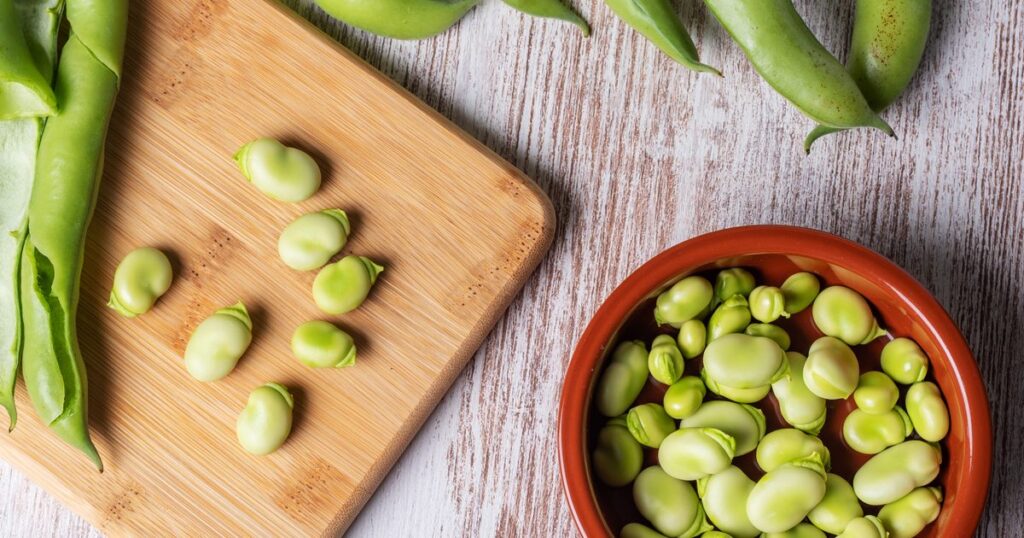 13 health benefits of broad beans (fava beans) 13 health benefits of broad beans (fava beans)