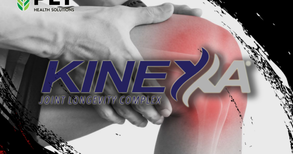 PLT Health’s Whole-Joint Longevity Complex, Backed by MRI-Validated Clinical Science PLT Health’s Whole-Joint Longevity Complex, Backed by MRI-Validated Clinical Science