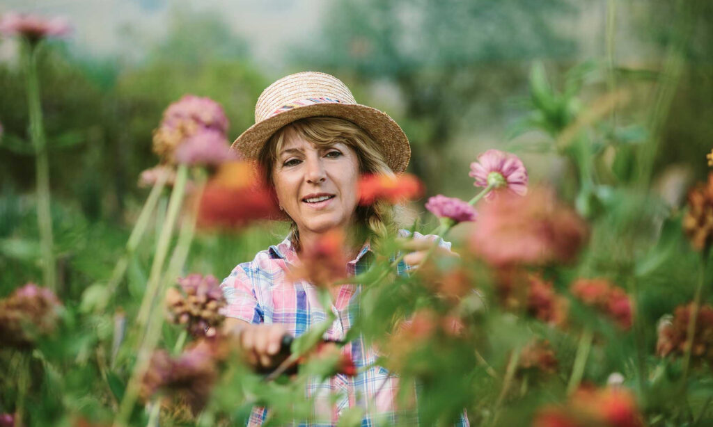 The Hidden Brain Cells That Clear Alzheimer’s-Linked Tau Protein