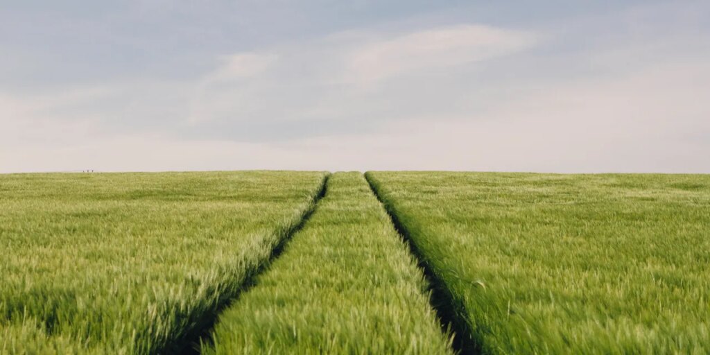 ‘Parallel Life Syndrome’: Why Long-Term Relationships Lose Their Spark ‘Parallel Life Syndrome’: Why Long-Term Relationships Lose Their Spark